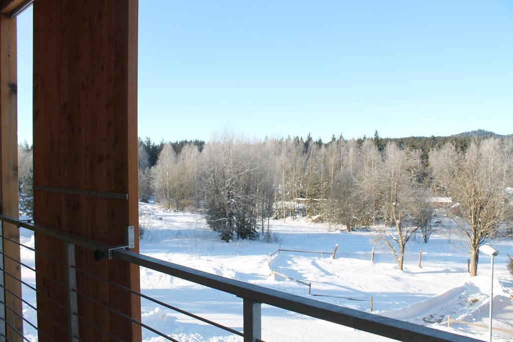 Sumavacek - Exclusive Apartment *